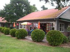 Terras